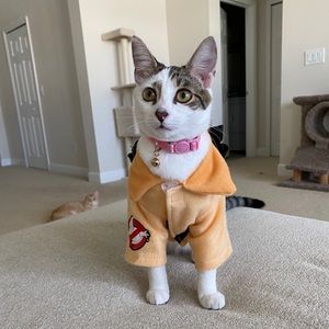 Meet your Posher, Victoria